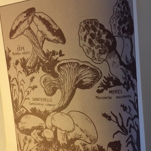 MUSHROOM COOKBOOK VINTAGE 1971 - Picture 8 of 8